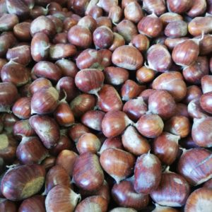 castagne-bio-Abruzzo